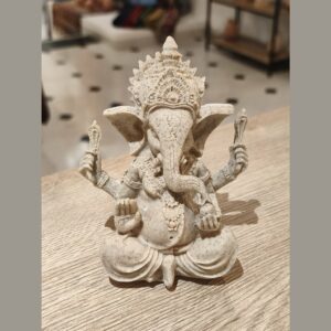 optimizado ganesha arena