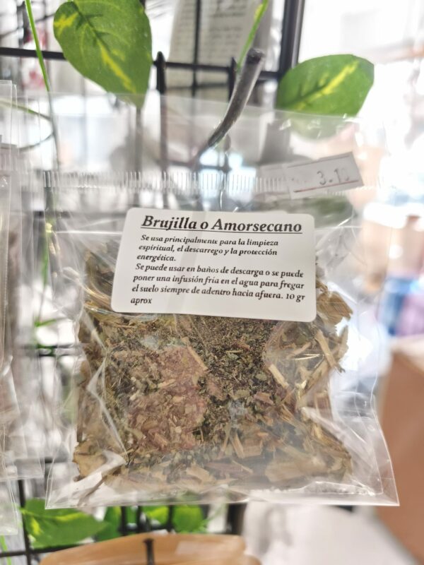 brujilla o amor secano