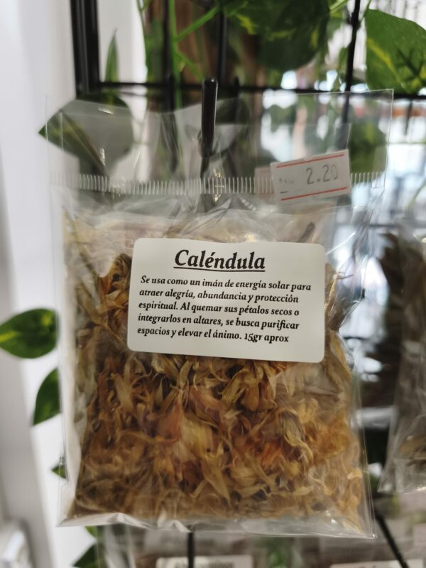 calendula