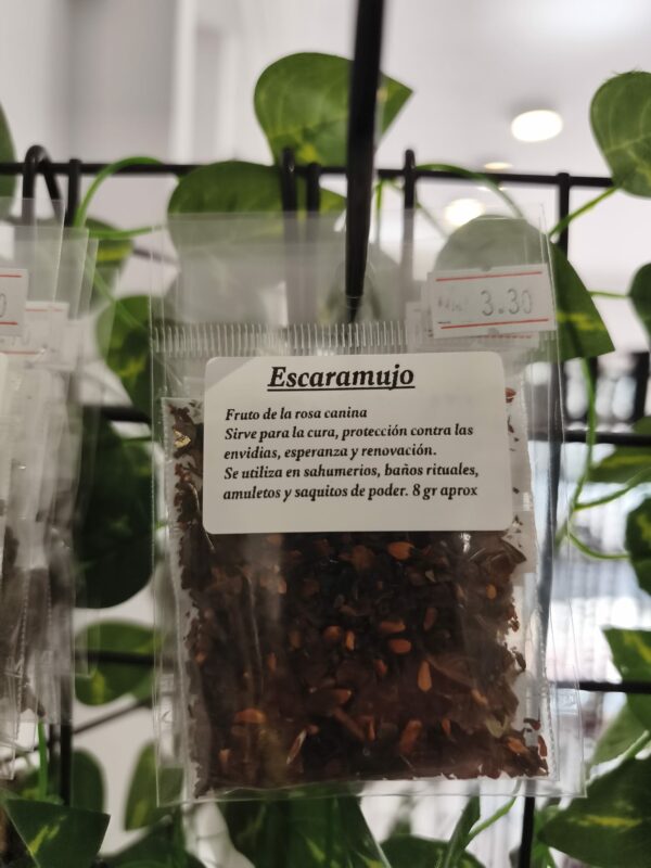 escaramujo