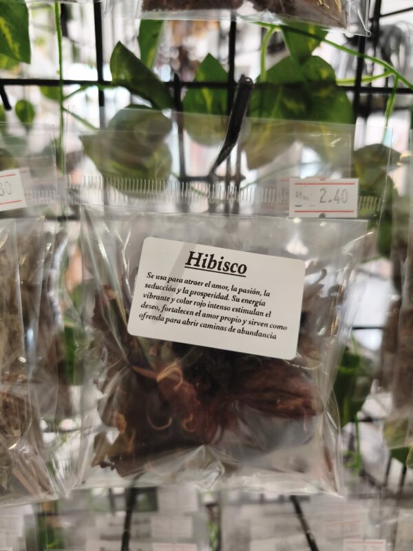 hibisco