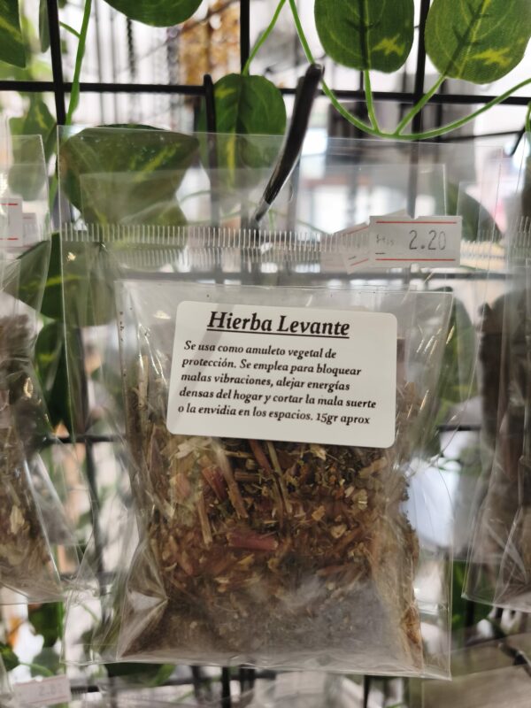 hierba levante