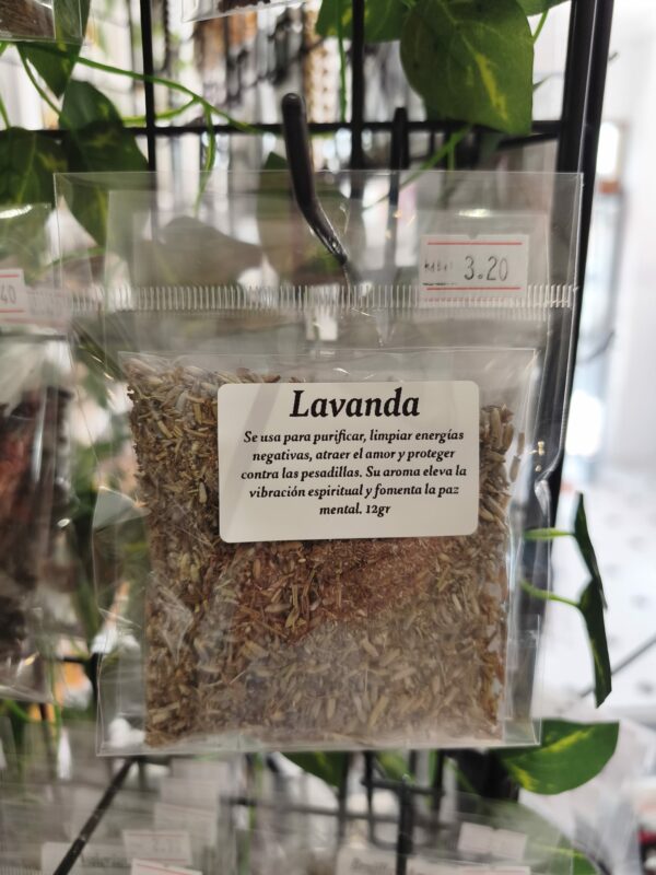 lavanda