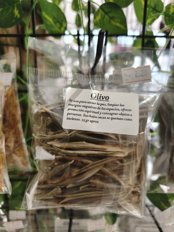 olivo